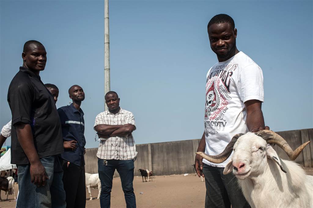 10. Dayo Folami, right, his undefeated ram King of Oils, and his friends stand near the ram fighting arena at the National Stadium in Lagos on March 20. STEFAN HEUNIS / AFP - Getty Images