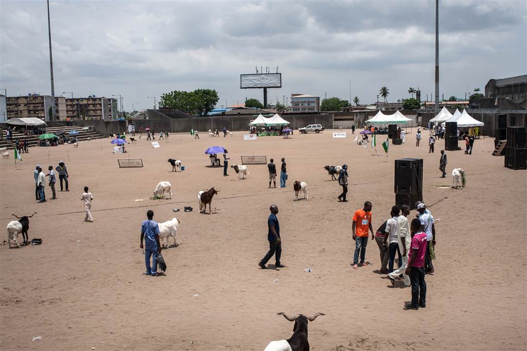 5. Hundreds of people gather under a blazing sun to watch the rams fight on a sandy pitch, fenced off with orange and blue rope, at the National Stadium in Lagos, Nigeria on March 20, 2016. STEFAN HEUNIS / AFP - Getty Images