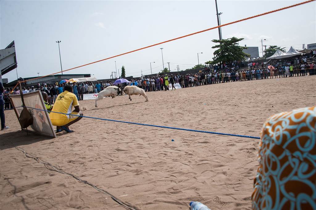 9. Two rams collide as spectators look on during the competition. STEFAN HEUNIS / AFP - Getty Images