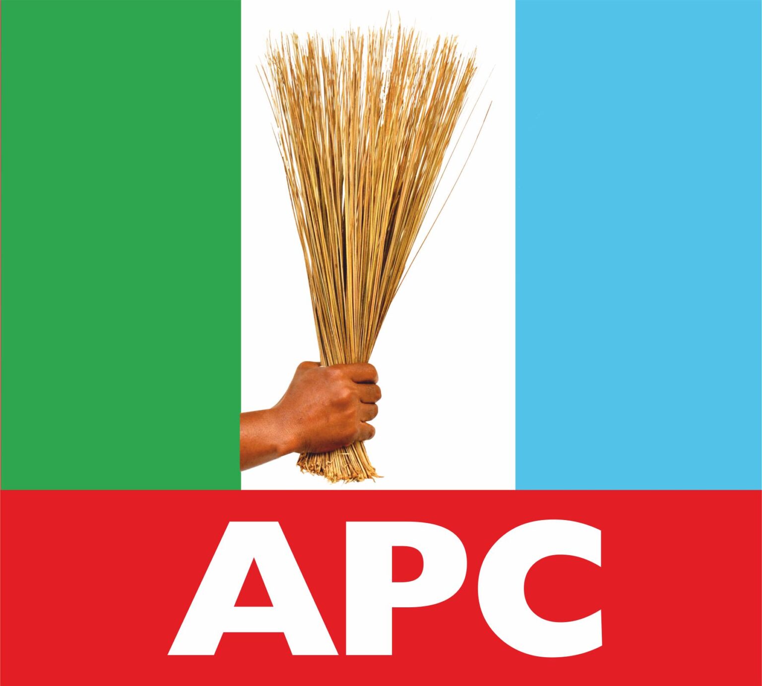 Youth Congress Urges Tinubu to Intervene in Kwara APC Governorship ...